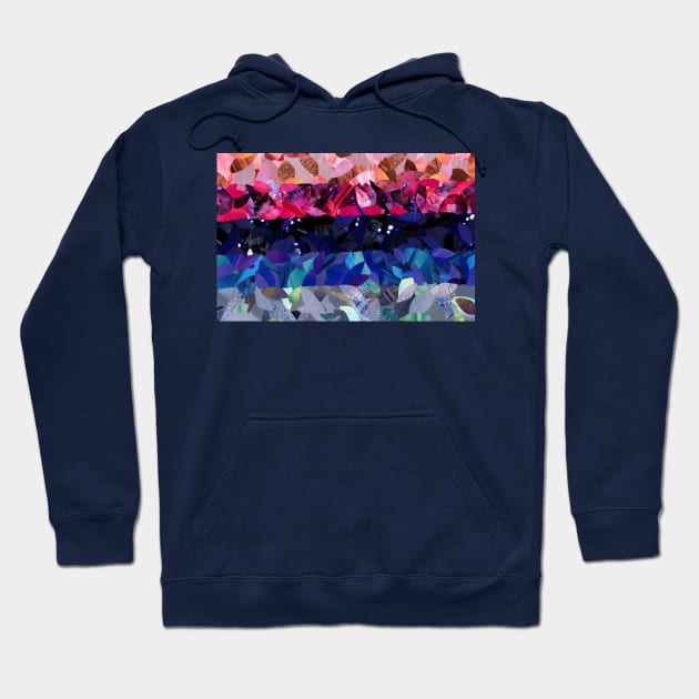 Omnisexual Pride Flag Hoodie by cajunhusker